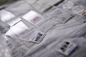 Microscope slides.