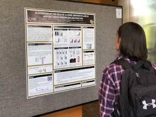 CFReT symposia 2