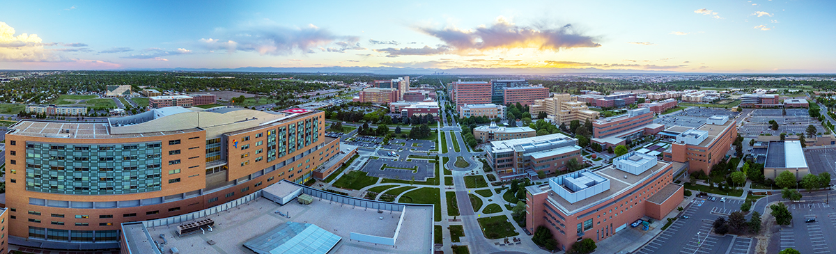 Campus at dawn