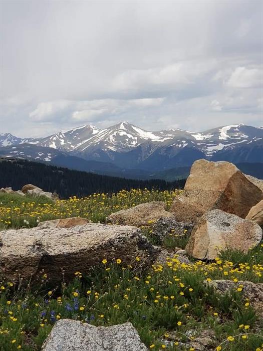 RMNP Trail Ridge Road