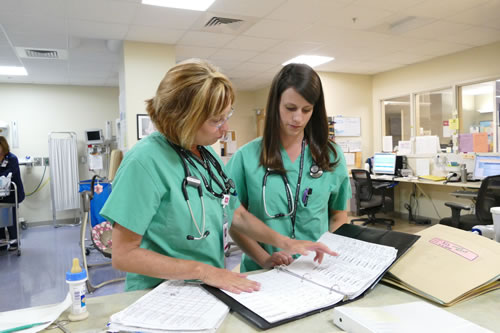 Preceptor and PA student working together in a nursery